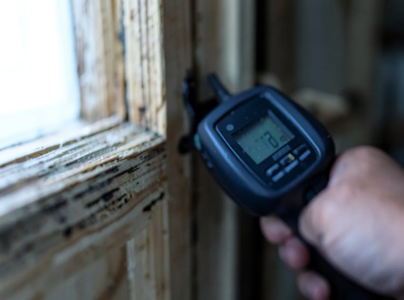Moisture Inspection And Documentation in Chichester, NH